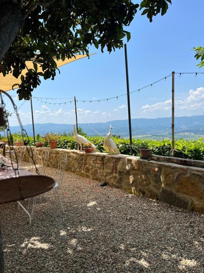 Agriturismo I Millepini Case Malva エクステリア 写真