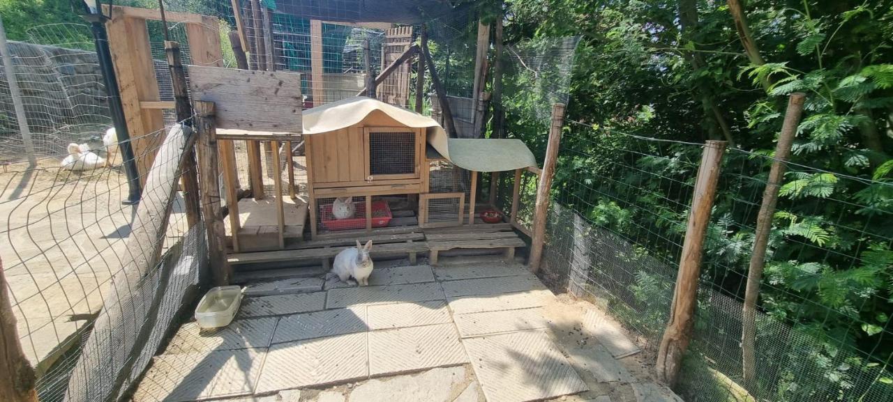 Agriturismo I Millepini Case Malva エクステリア 写真